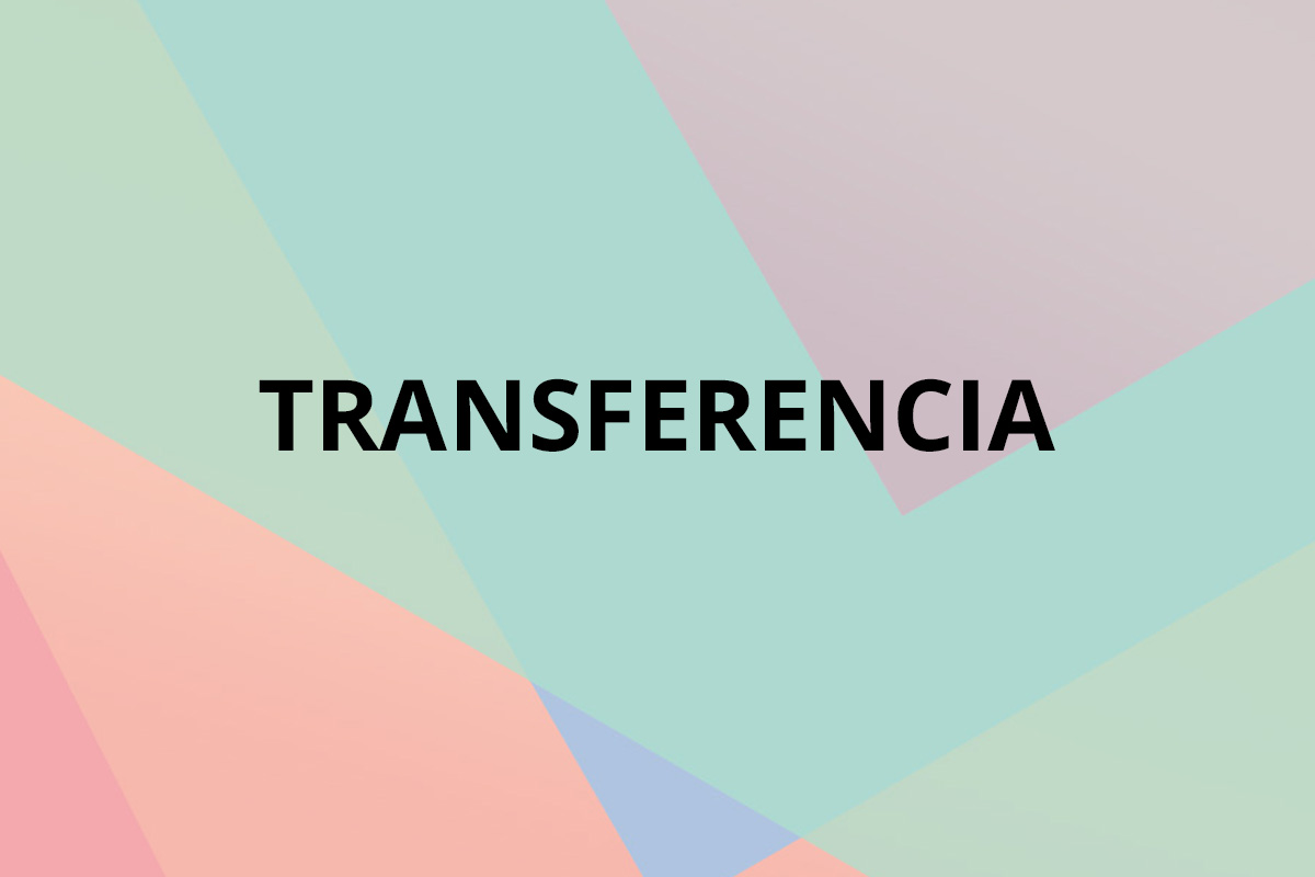 Diversidad Audiovisual Transferencia